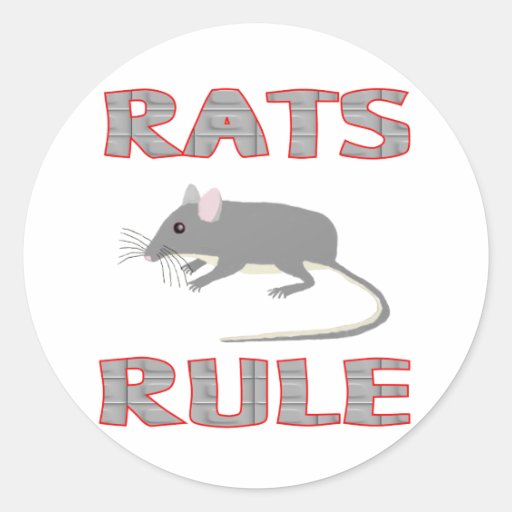 RATS RULE ROUND STICKERS