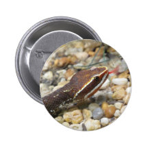 Rattle snake button