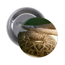 Rattle Snake Button