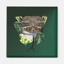 Rattle Snake Face Magnet