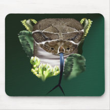 Rattle Snake Face Mousepad