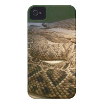 Rattle Snake iPhone 4 Case