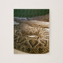 Rattle Snake Puzzle