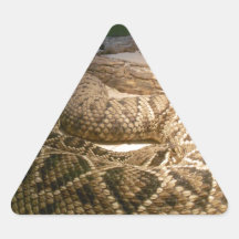 Rattle Snake Triangle Sticker