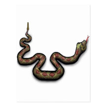 Rattlesnake Postcard