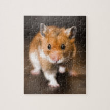 Ratty the hamster jigsaw puzzles