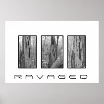 Ravaged Poster