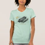 Raven a volé la pièce en t de dames Seafoam Amer.A T-shirts
