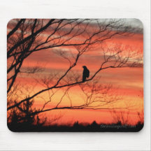 Raven appelant dans le lever de soleil tapis de souris