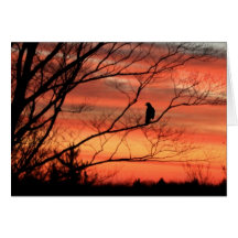 Raven appelle solitaire carte de vœux