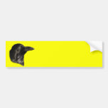 raven bumper sticker