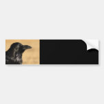 Raven Bumper Sticker