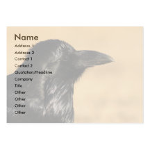 raven business card