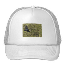 Raven Delivery Hat
