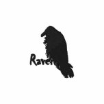 Raven Embroidered Hoody Sweatshirt