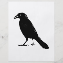Raven Full Color Flyer