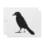 Raven Announcement