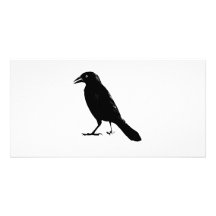 Raven Modèle Pour Photocarte