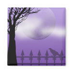 raven moon magnets
