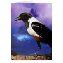 Raven on a fence greeting card
