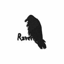 Raven on Raven Embroidered Sports Shirt Polo