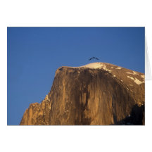 Raven over Half Dome, Yosemite National Park Card