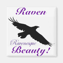 RAVEN Series IV Refrigerator Magnet