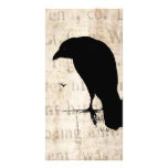 Raven Silhouette - Vintage Retro Ravens & Crows Photo Cards
