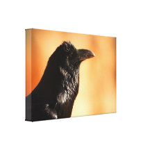 raven stretched canvas print