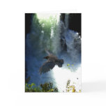 RAVEN & WATER FALL Nature Gifts Cards