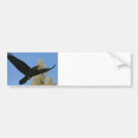 Raven with Bison Bumper Sticker