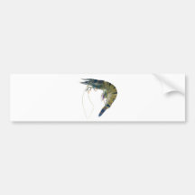 Raw black tiger prawn bumper sticker