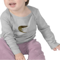 Raw grey prawn tees