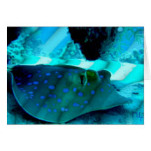 Ray in rays of light  card
