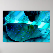 Ray in rays of light