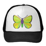 Ray of Light 5 Mesh Hat