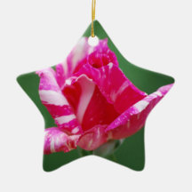 Rayé de rose et blanc s'est levé ornement de noël