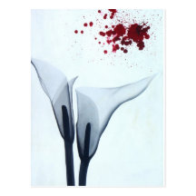 Rayon X de zantedeschia Cartes Postales