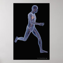 Rayon X du système vasculaire chez un homme couran Posters