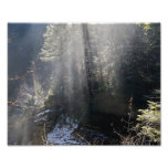 Rayons sur nous épreuve photographique 10x8