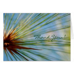 Rays of Grass Card
