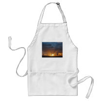Rays of the Sun at Dawn Aprons