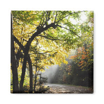 Rays Sun Shady Forest Canyon Ste-Anne QC Magnet magnets