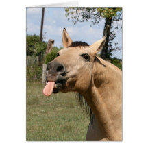 razzberry greeting card