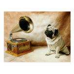 RCA Pug Dog Postcard