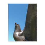 RCAF Eagle Memorial 1 Postcard