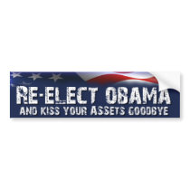 Re-Elect Obama - Anti Obama Election Bumper Sticker