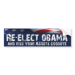 Re-Elect Obama - Anti Obama Election bumper stickers