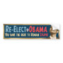 Re-Elect Obama, Stupid!