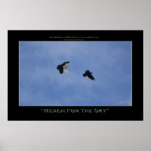 "REACH FOR THE SKY" Photo Print or Poster